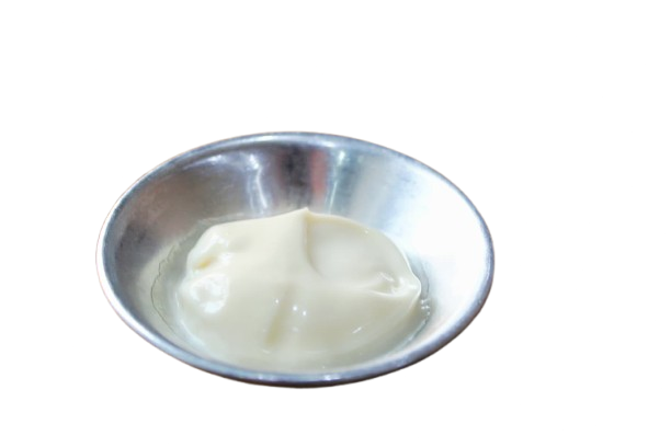 Vegan Mayo